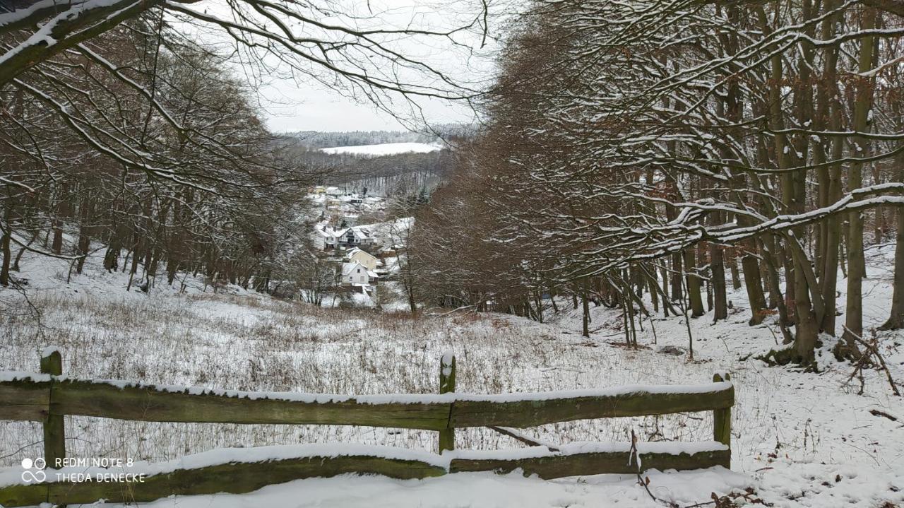 Ferienwohnung Zum Maerchenwald Bergfreiheit Esterno foto