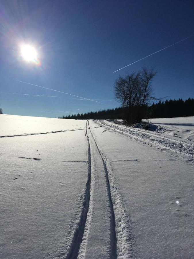 Ferienwohnung Zum Maerchenwald Bergfreiheit Esterno foto
