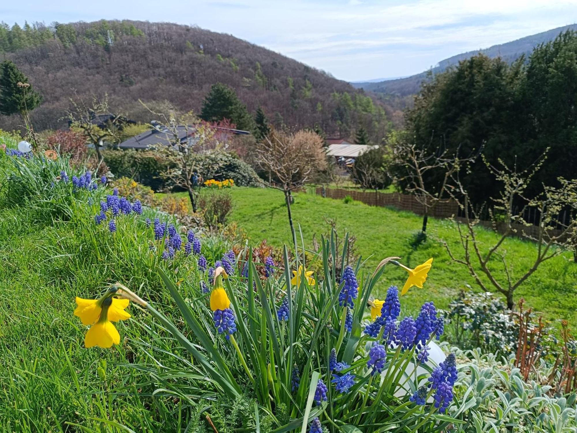 Ferienwohnung Zum Maerchenwald Bergfreiheit Esterno foto