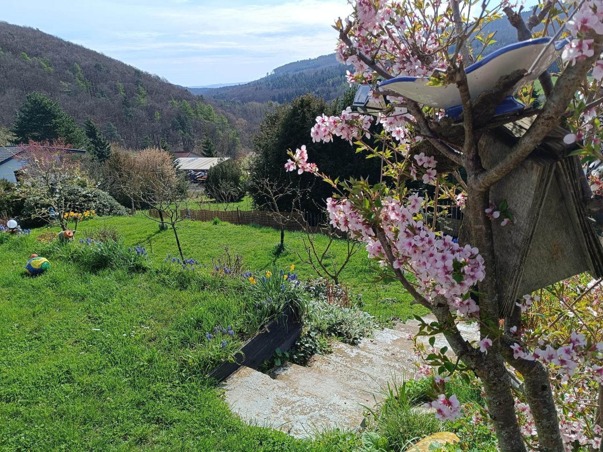Ferienwohnung Zum Maerchenwald Bergfreiheit Esterno foto